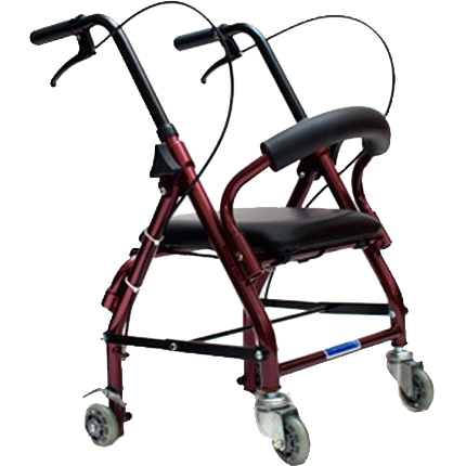 

Ходунки-роллаторы для детей Titan Optimal-Kappa LY-517S